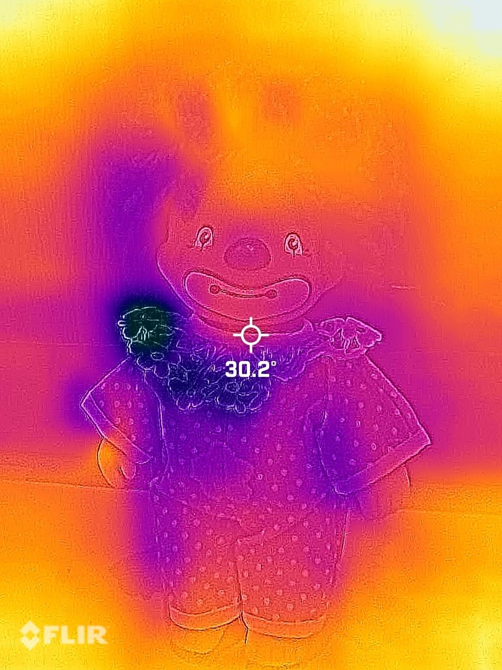 image_5383F5CF-BAC9-4F6E-8E71-6E310AB945FE_1770121080