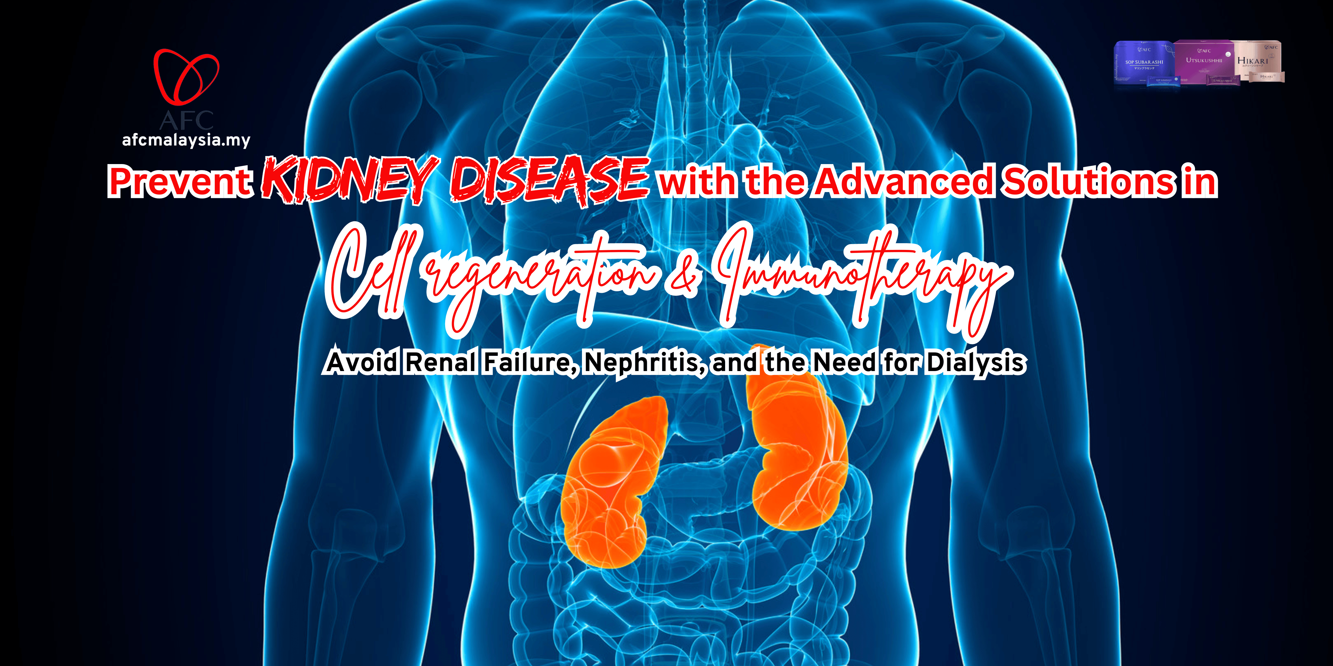 kidney