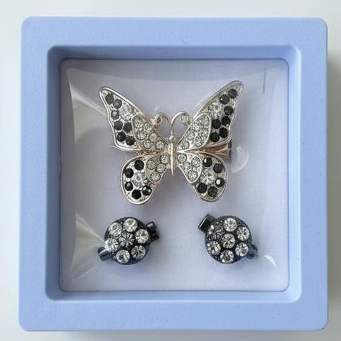 brooch2
