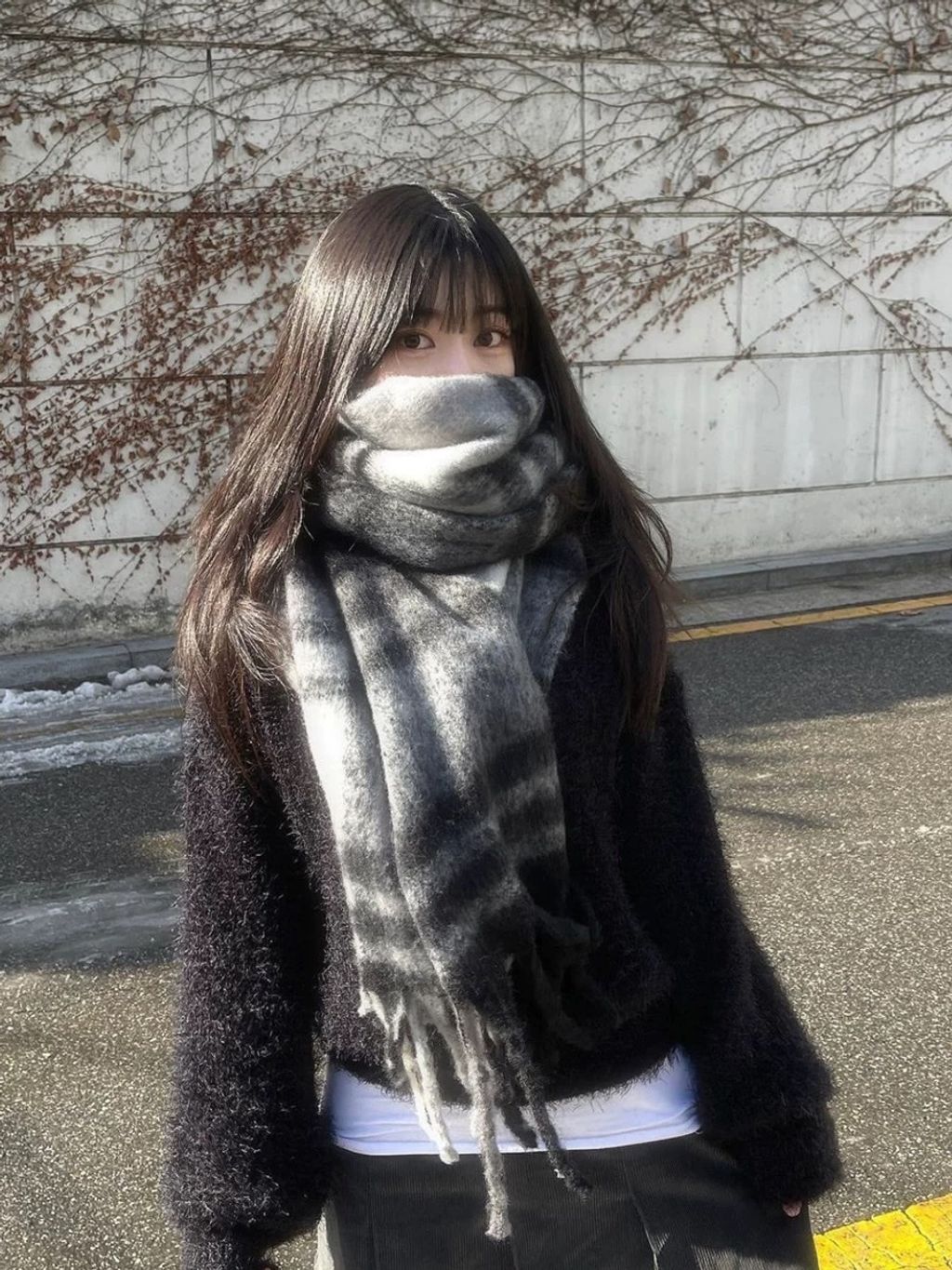 IMG_8256-1741878001701