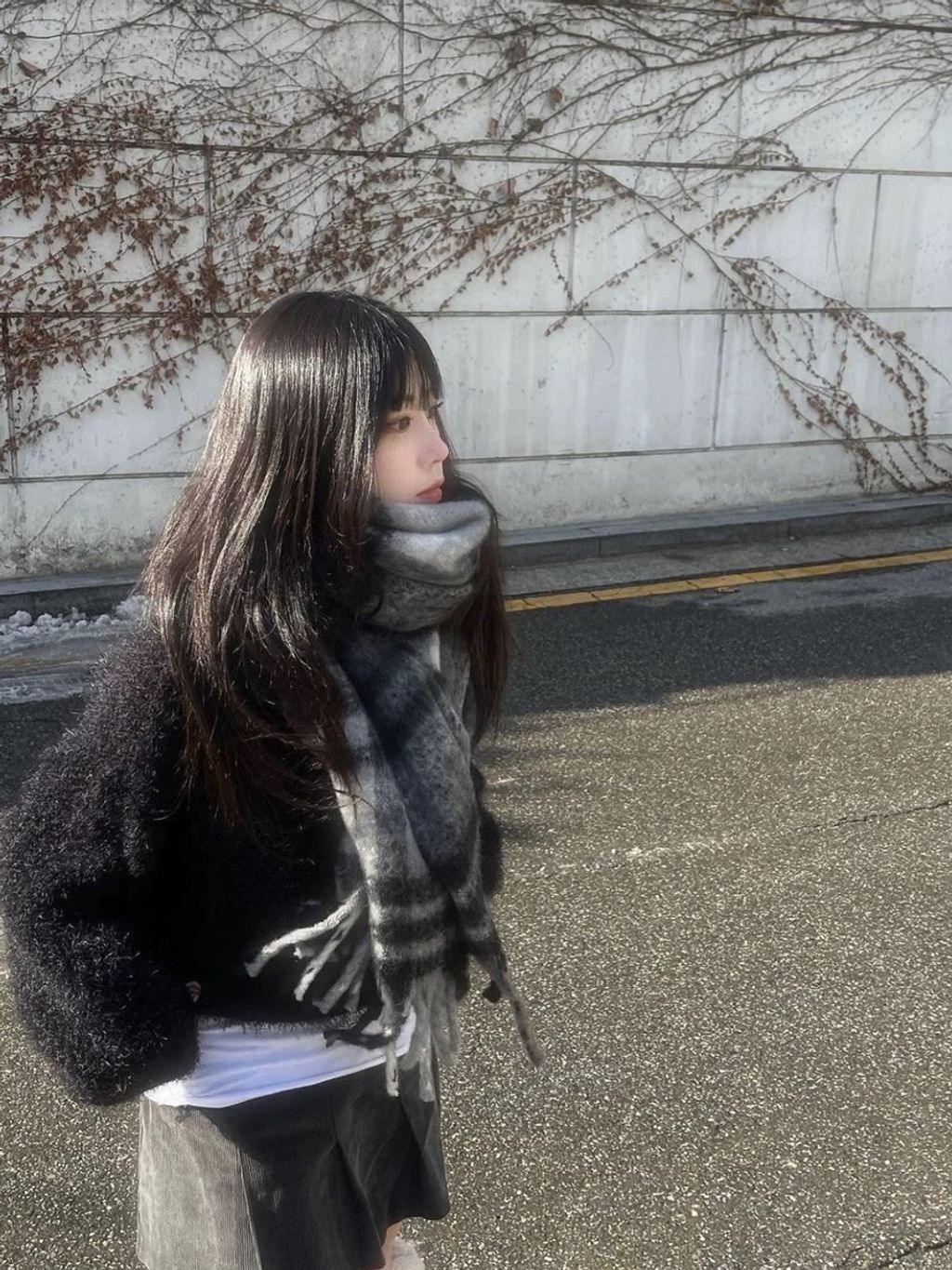 IMG_8253-1741878001704