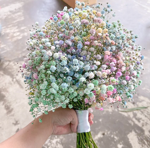 Rainbow Baby Breath Wedding Bouquet
