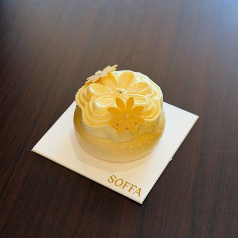 image_3F2255D0-4111-45D1-8DCA-322CA47C8574_1773031299