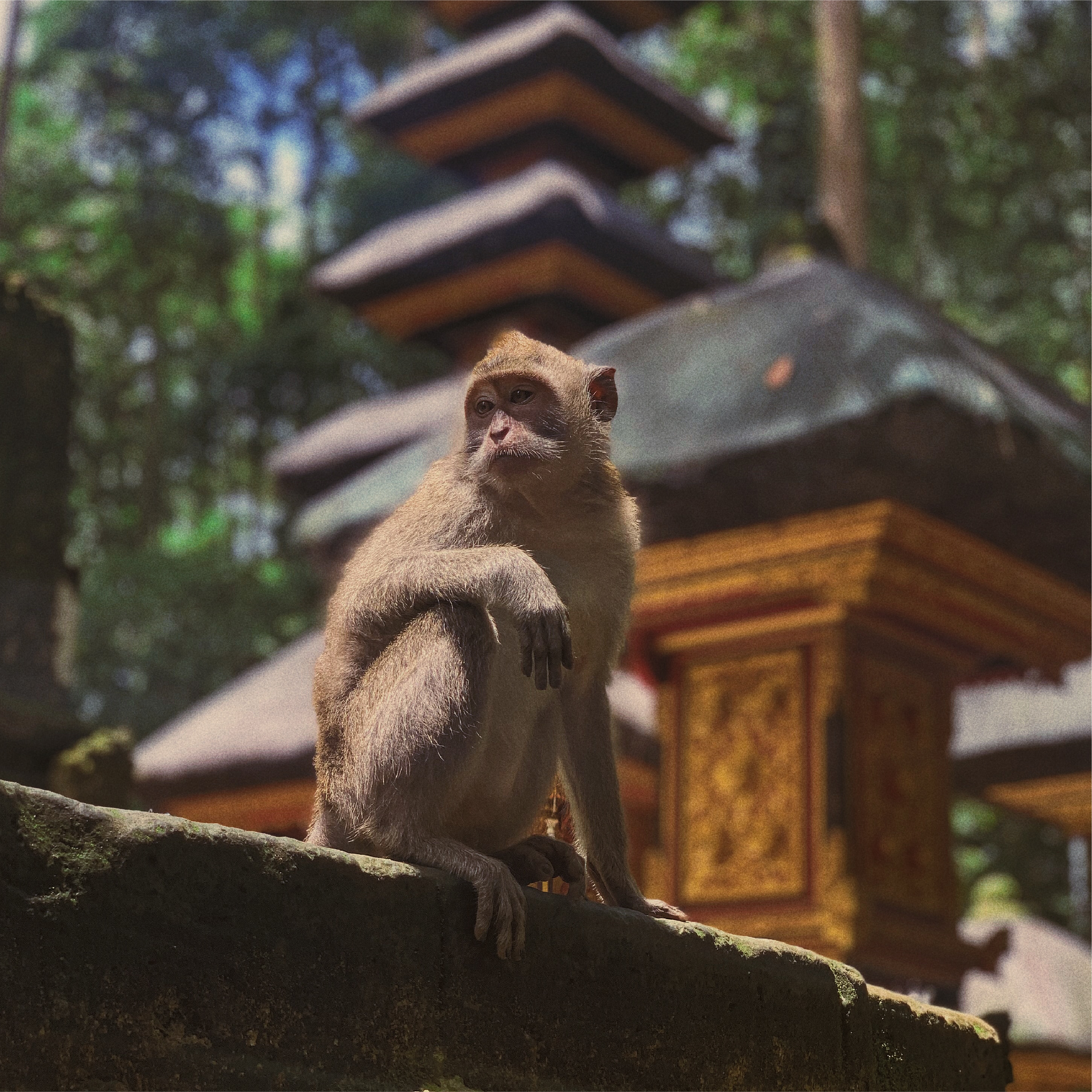 峇里島景點一覽表DM-09
