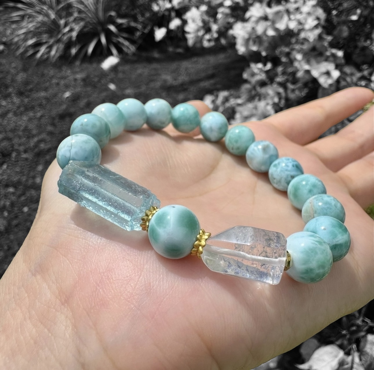 image_563F6446-01B3-45E7-AAA9-2A1C8CB2A2F7_1772854621