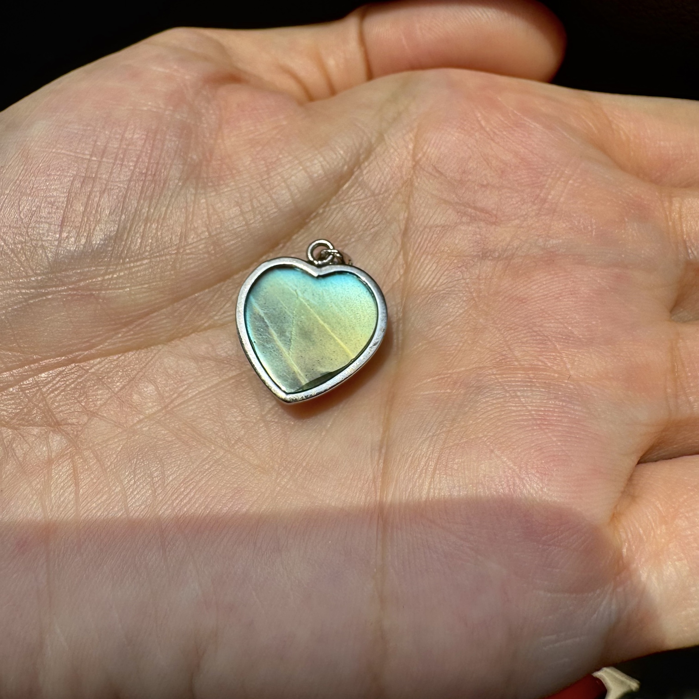 image_F1E48CCD-E767-4079-BBC6-6F5C97E6D2DA_1776664817