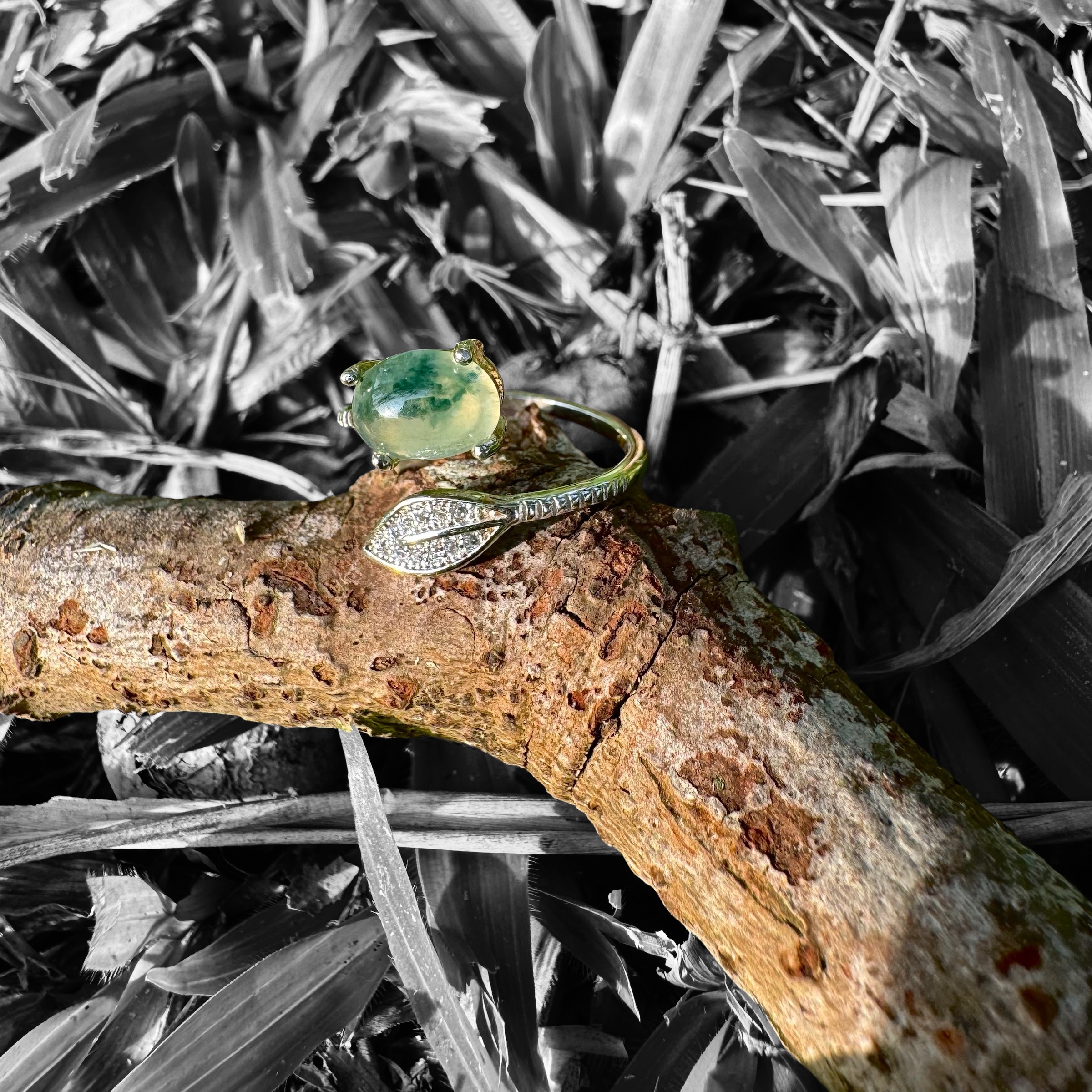 image_6D1B042B-5C3E-4B55-914D-C8F1467415F5_1784129759