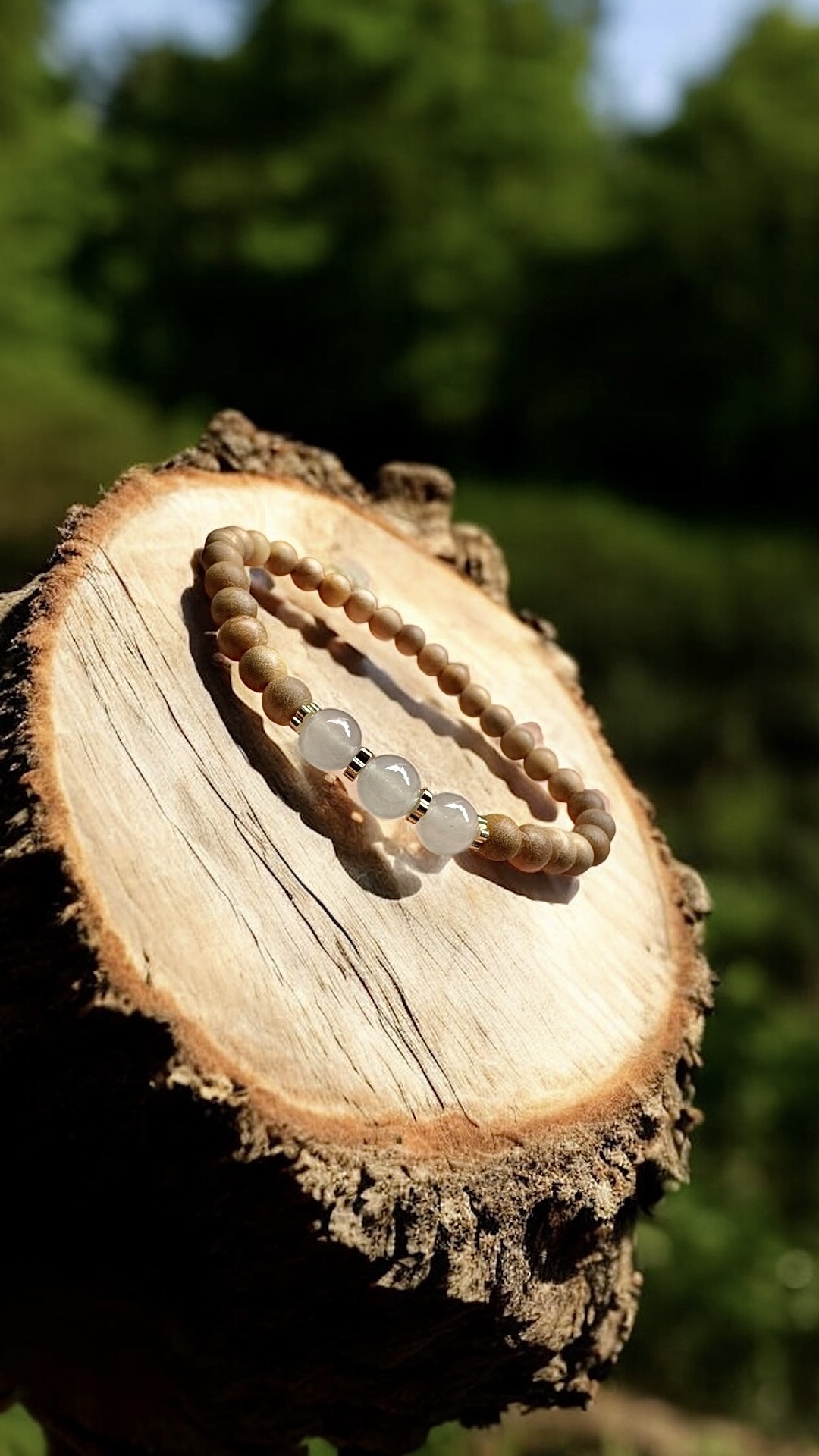 image_AF7E3A55-B0DF-444A-A8FE-46B9D05C1E02_1747814701