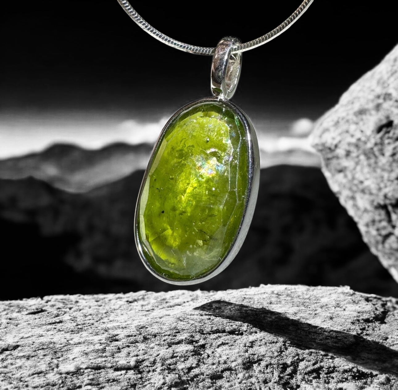 image_83895E16-E87B-46AF-880F-E010996472C2_1750849351