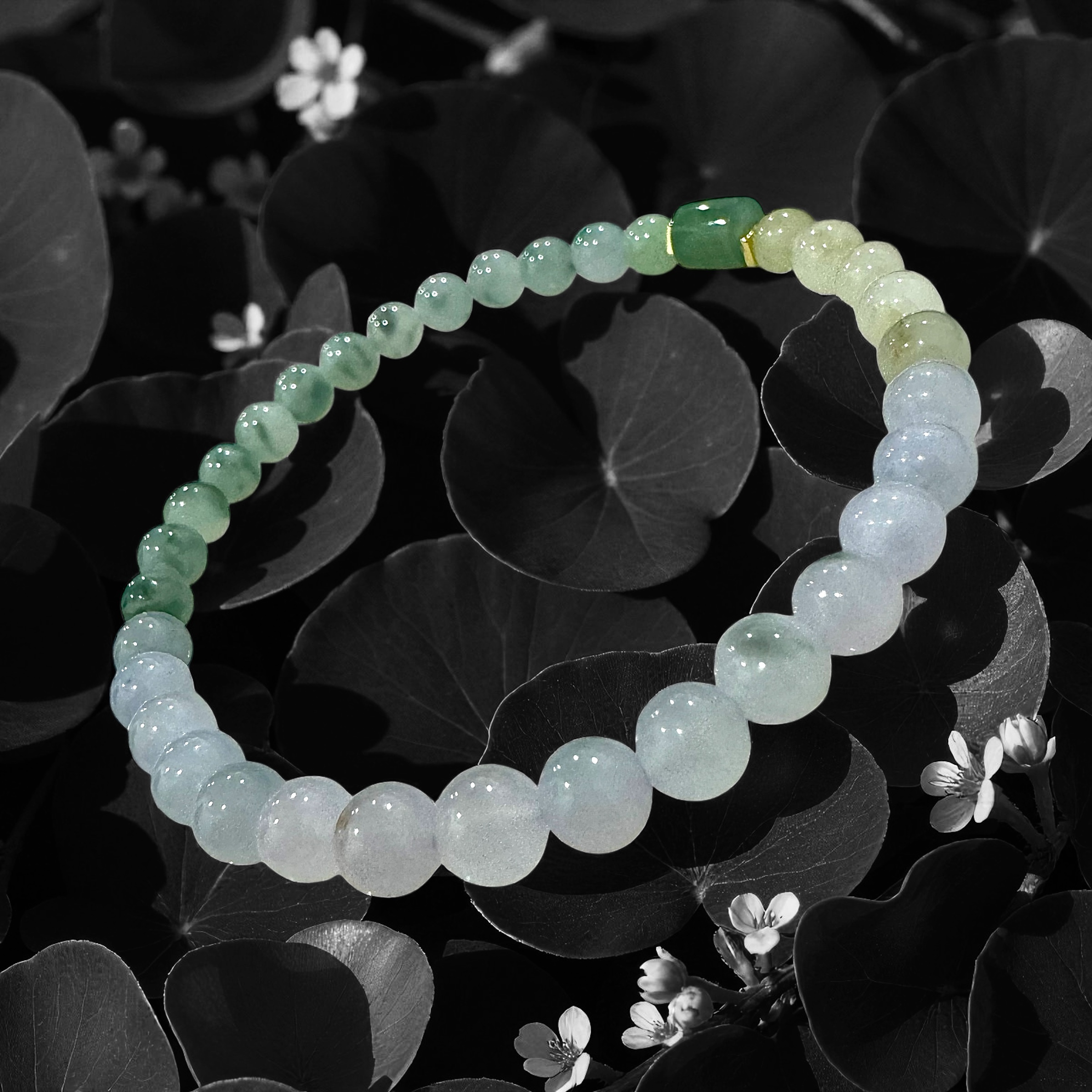 image_5EBB5079-4DD7-4304-92F3-A3D99E102CE6_1761740812