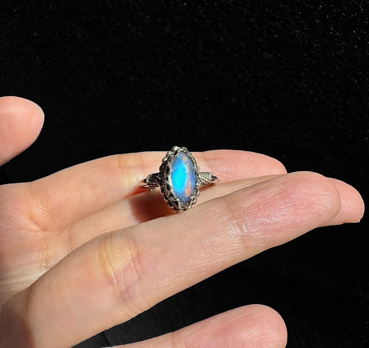 image_84DADF19-1C68-47D9-B5F7-08E0F33B0829_1762609154