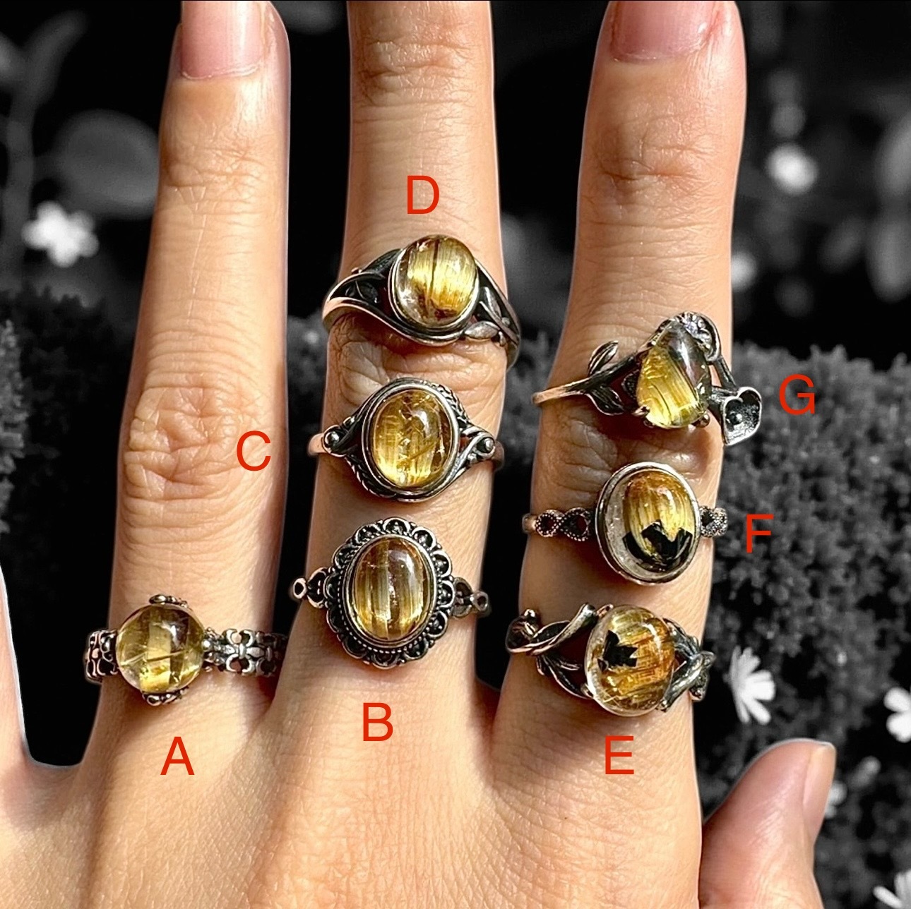 image_16974184-FB3E-47F1-8487-413C6A874C63_1763961003