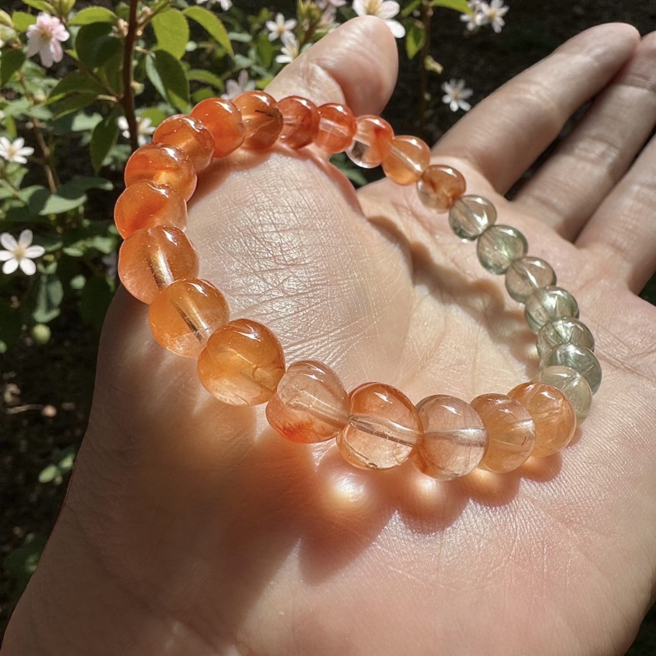 image_BE1005B5-219E-4F01-B139-ACF0208185A4_1764066596