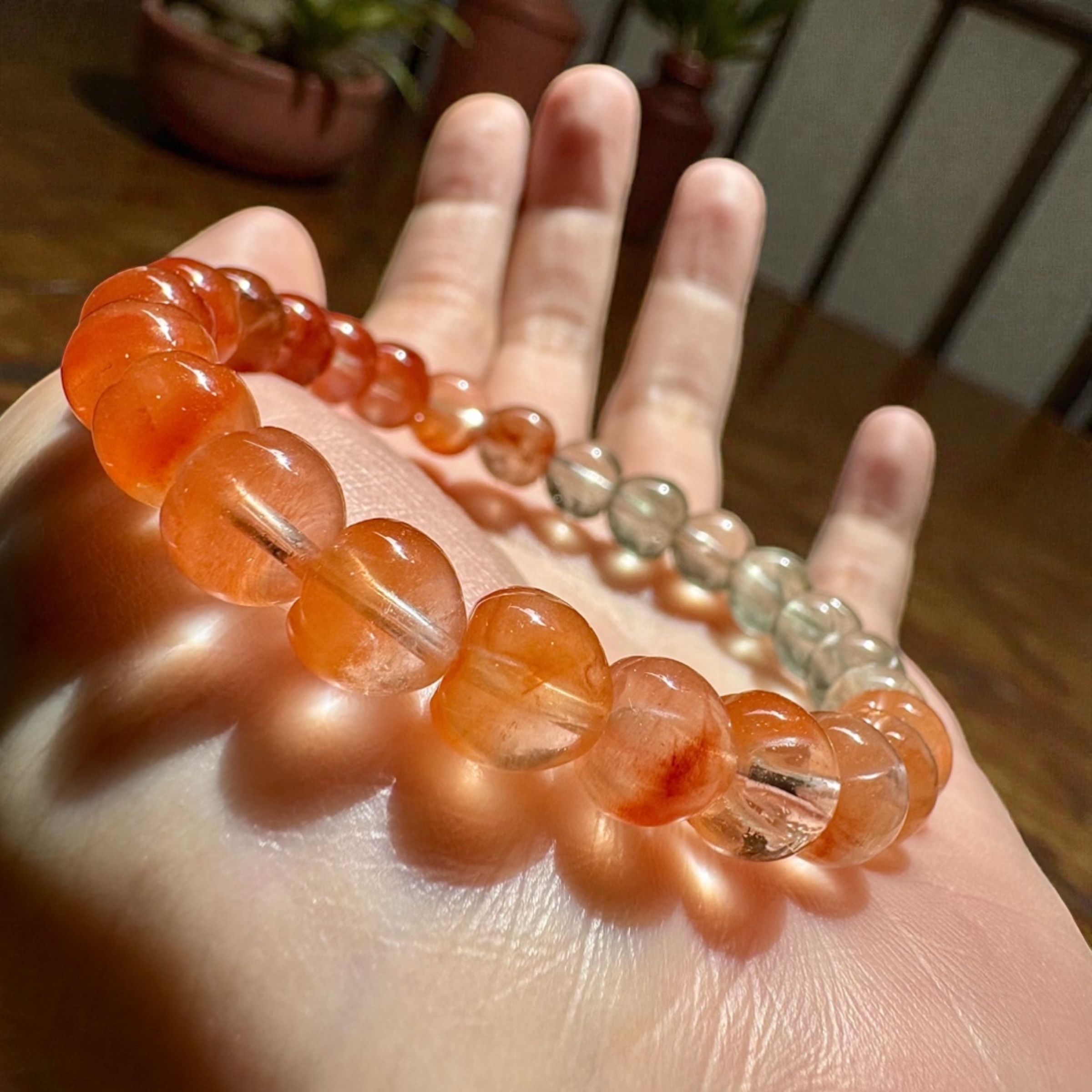 image_1192D813-2FC0-42D1-BE12-6873A7233CDF_1764066596