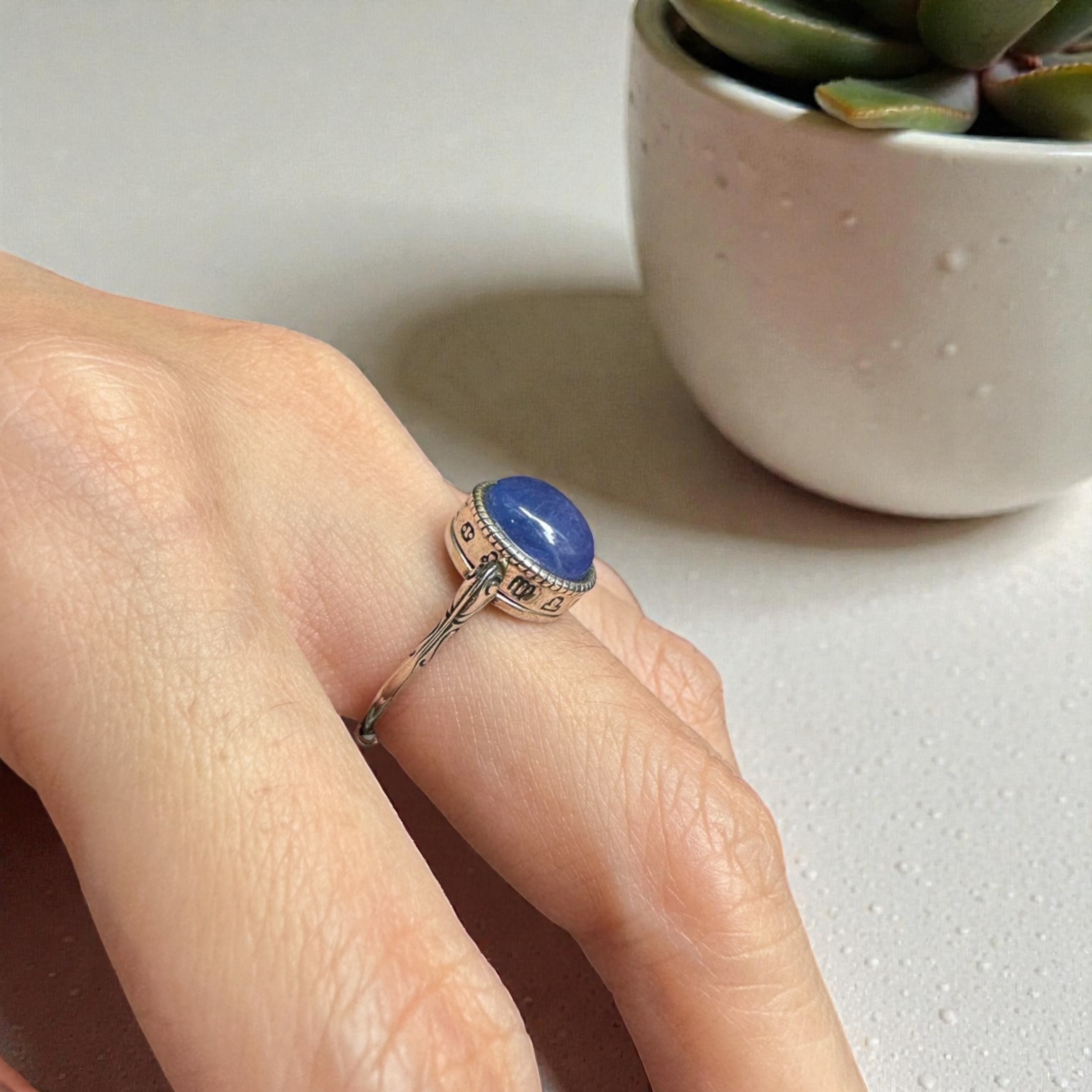 image_4C728E2B-5306-4E40-AAF6-4DC32358F621_1764144018