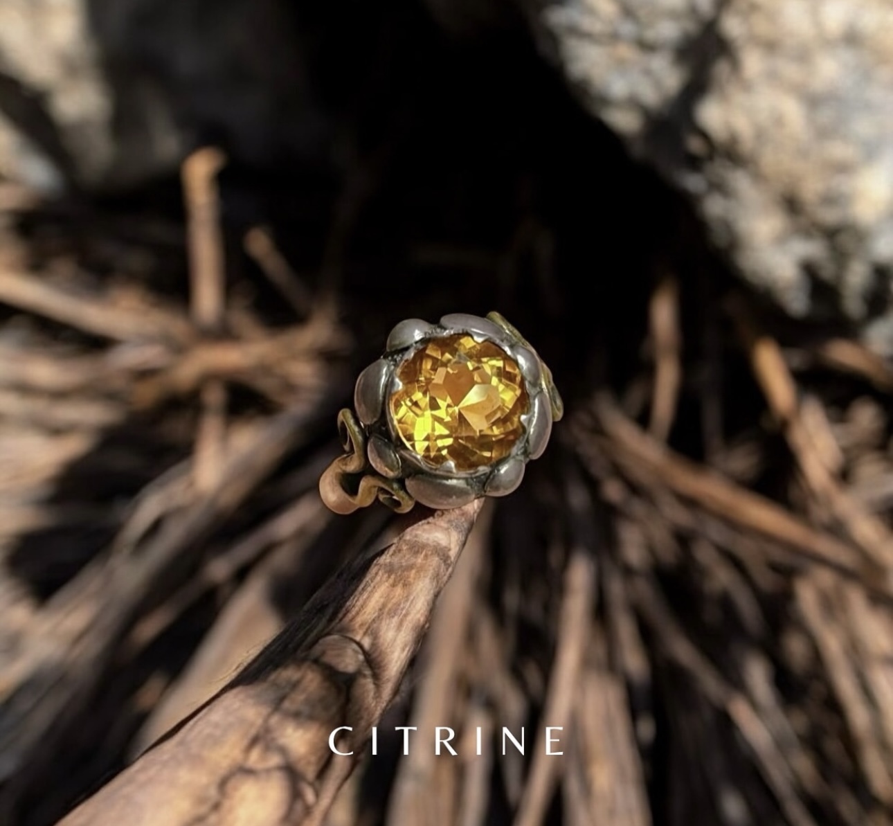 image_F0C5CE20-EA34-4FD2-BE2F-6135ECE5D3C9_1764859237