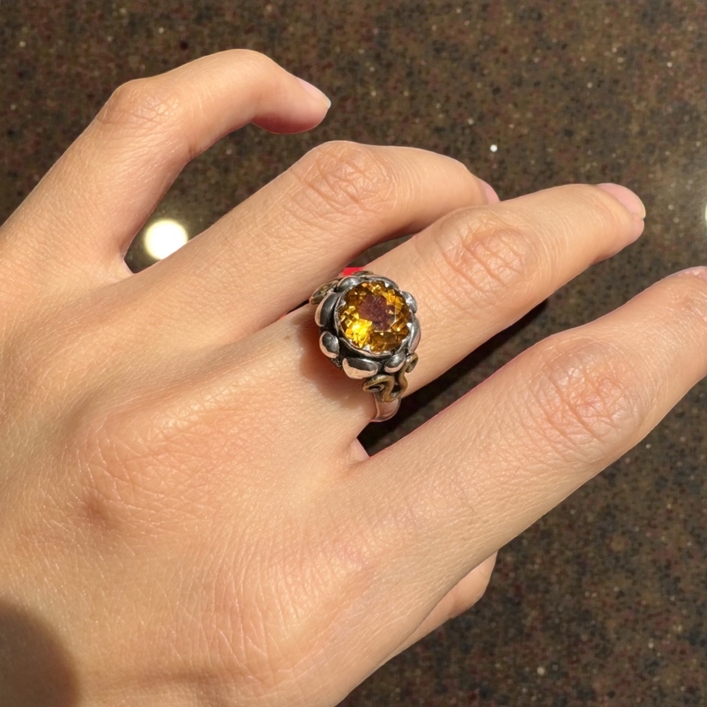 image_C50B9E80-02DE-4683-92D6-2631F4998738_1764859237