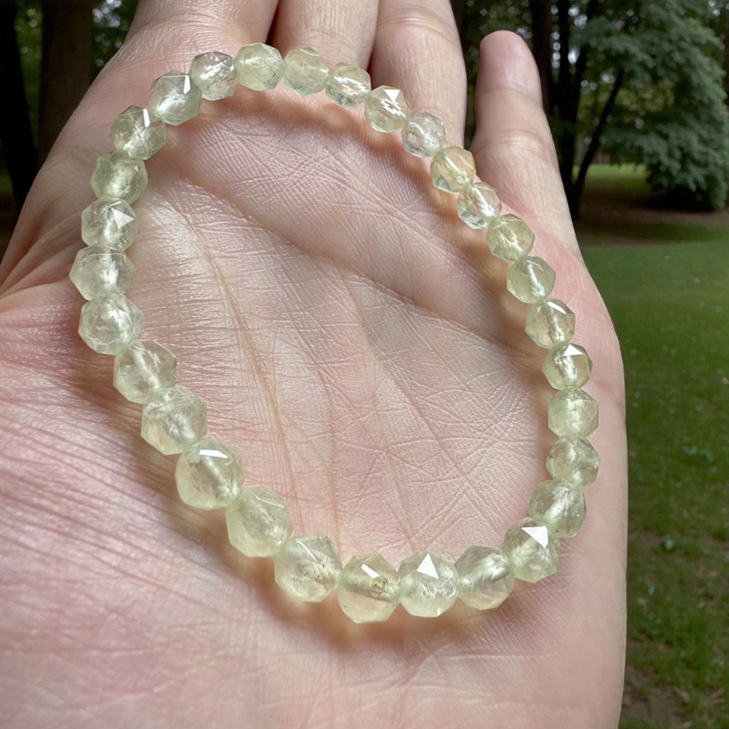 image_06CA35D1-B206-42A8-B16A-97115D8353BE_1766210725