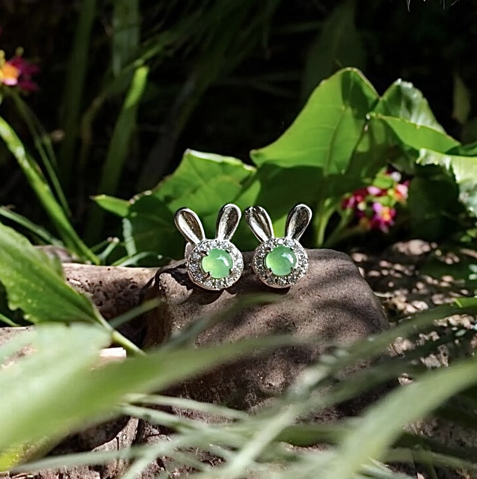 image_68AE1F99-891C-41AC-A660-6AA4F34BE0CE_1766391516