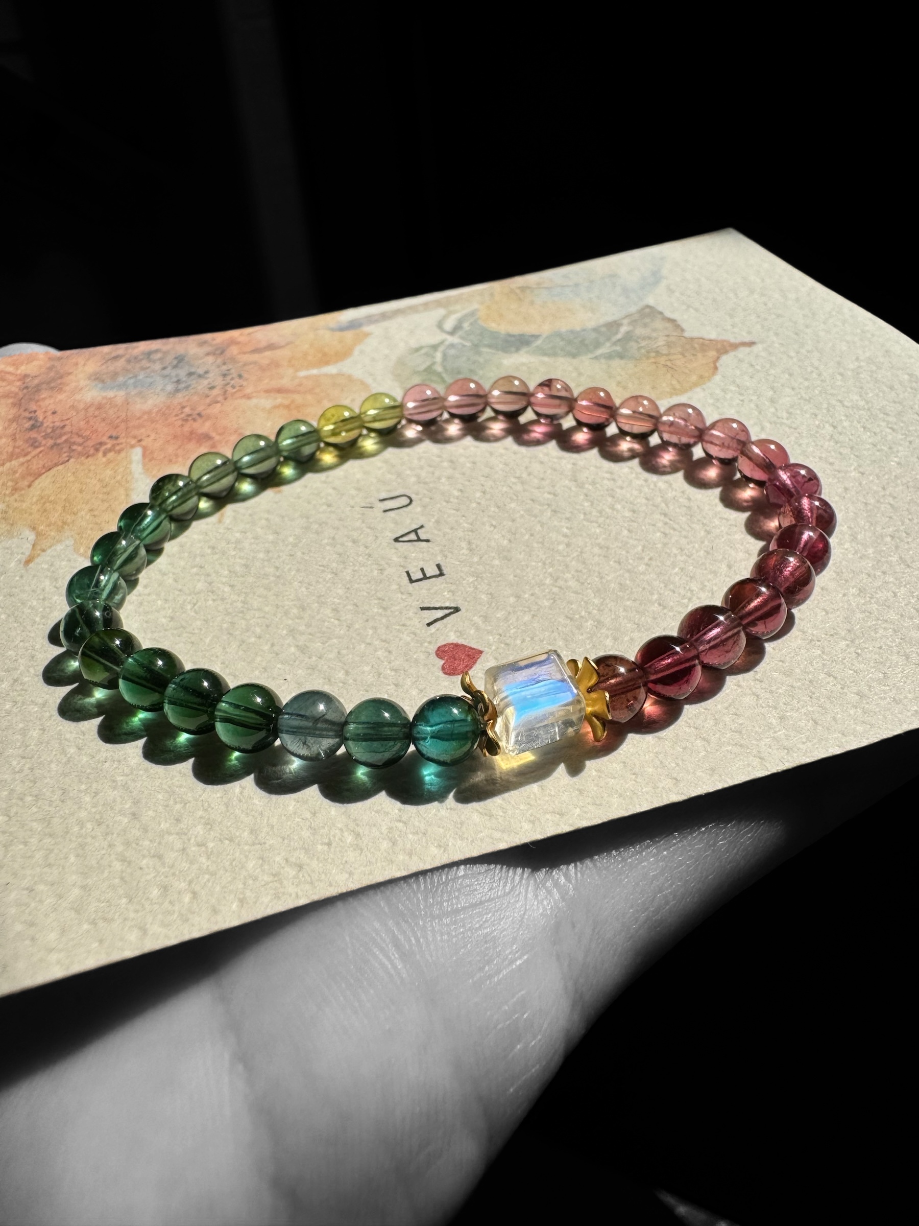 image_B9882DA7-ABA7-4C38-A834-56D2E0175173_1768566875