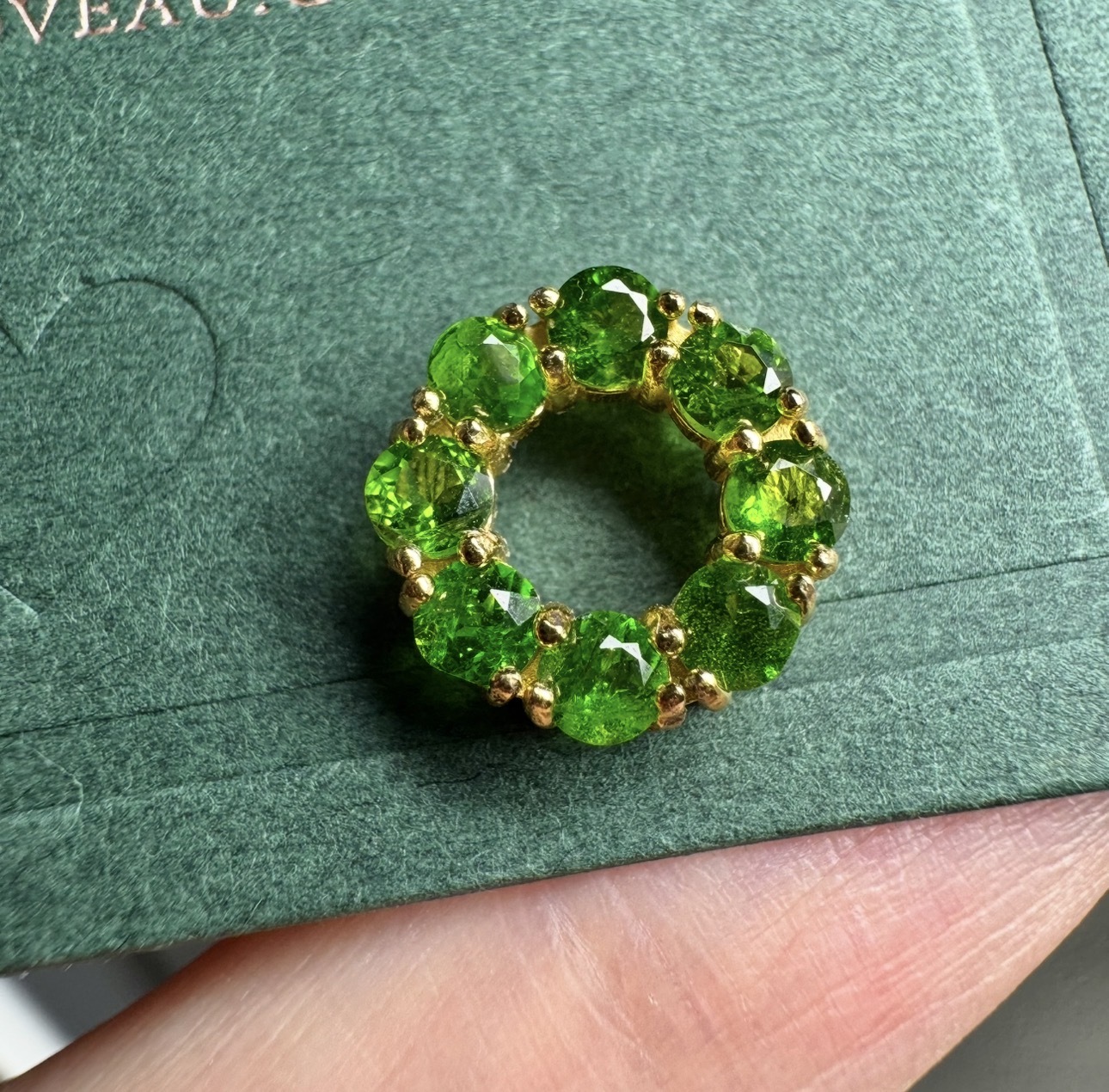 image_FC6BFC93-8ED6-416F-819F-7506CA2BEA94_1769687928