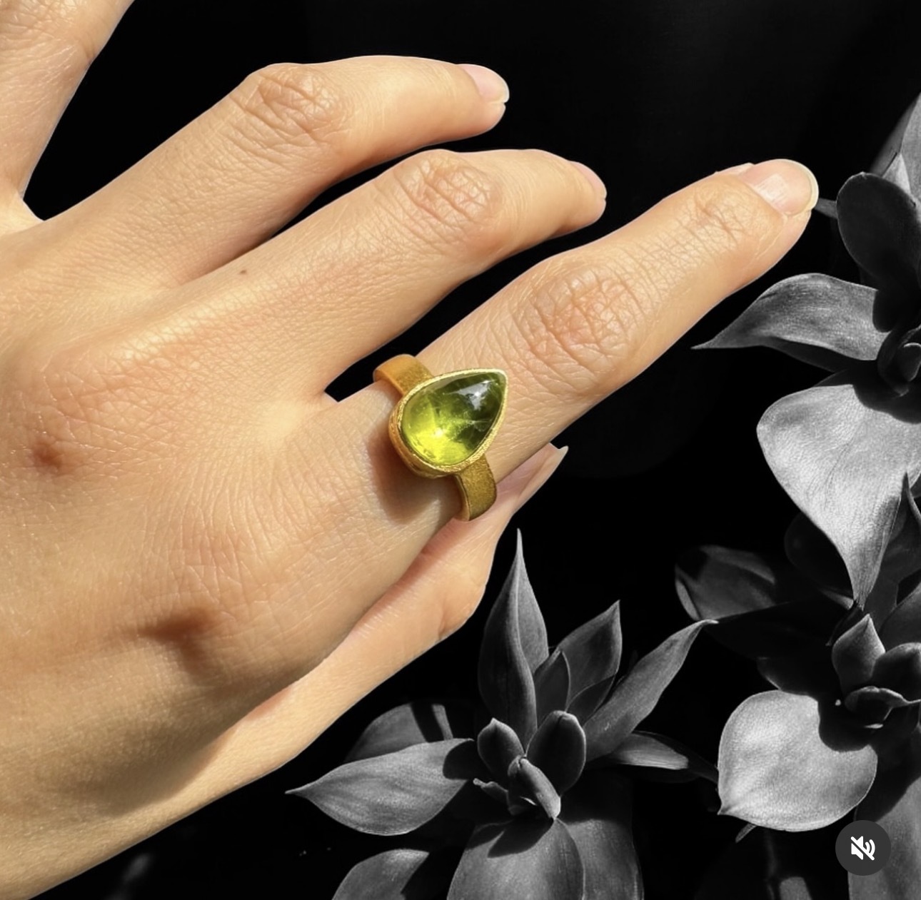 image_A1D9F694-6996-449C-B0AA-52D765EE8337_1770607949