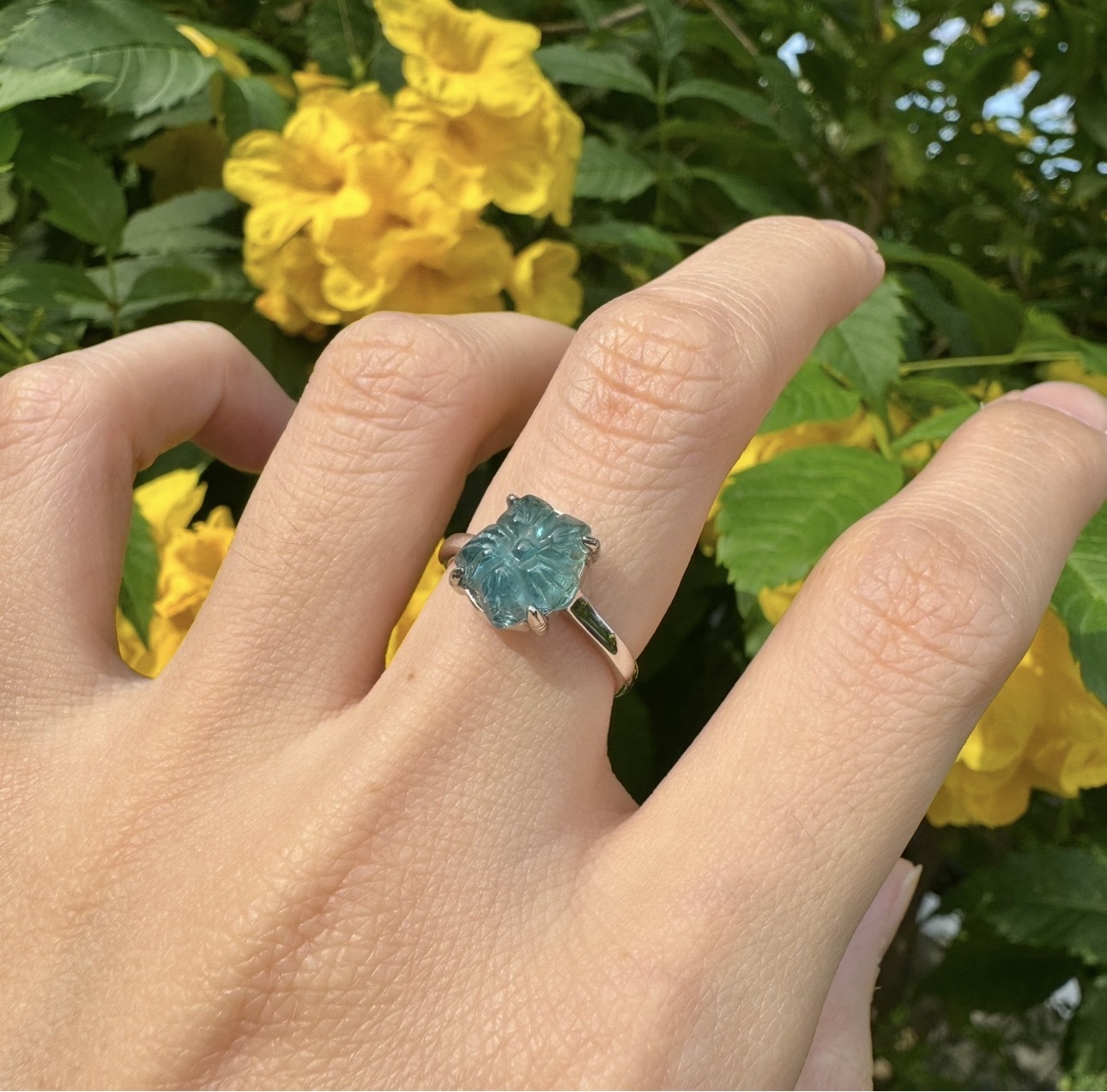 image_4C047F53-8AA8-48F3-A8D9-961DB55A5099_1770983934