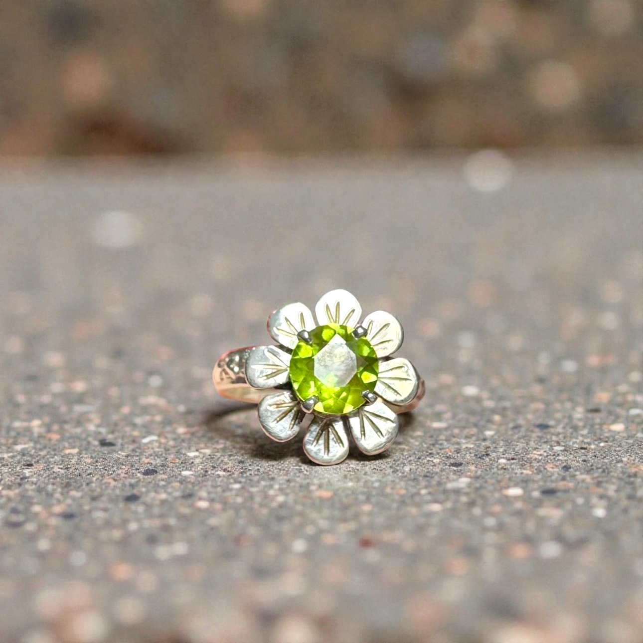 image_AC06C679-A79A-46B8-8EBF-4BC206ADB042_1771745234