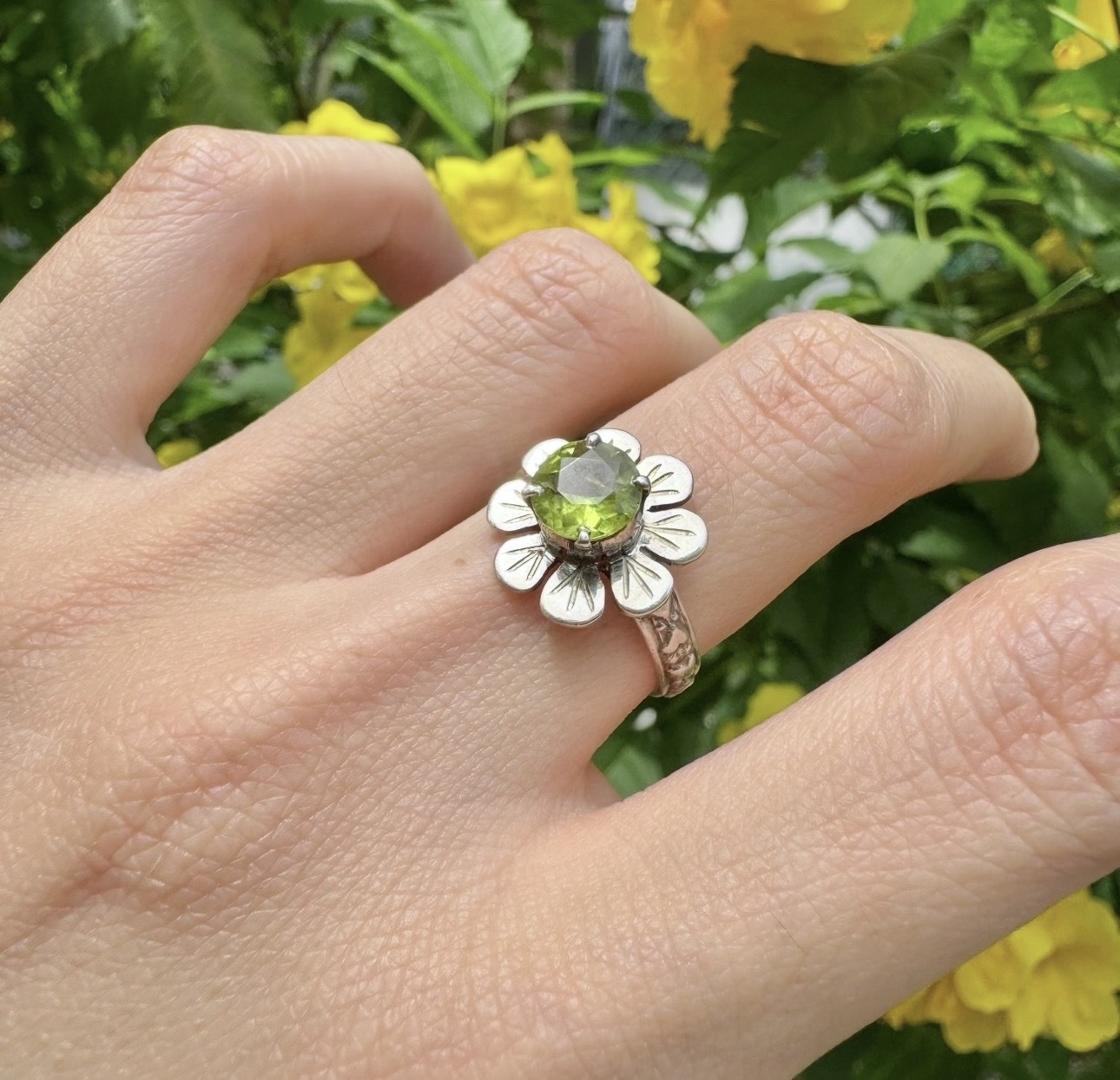 image_94B4D744-A7D3-4364-8F6F-A7BD486813A9_1771745234