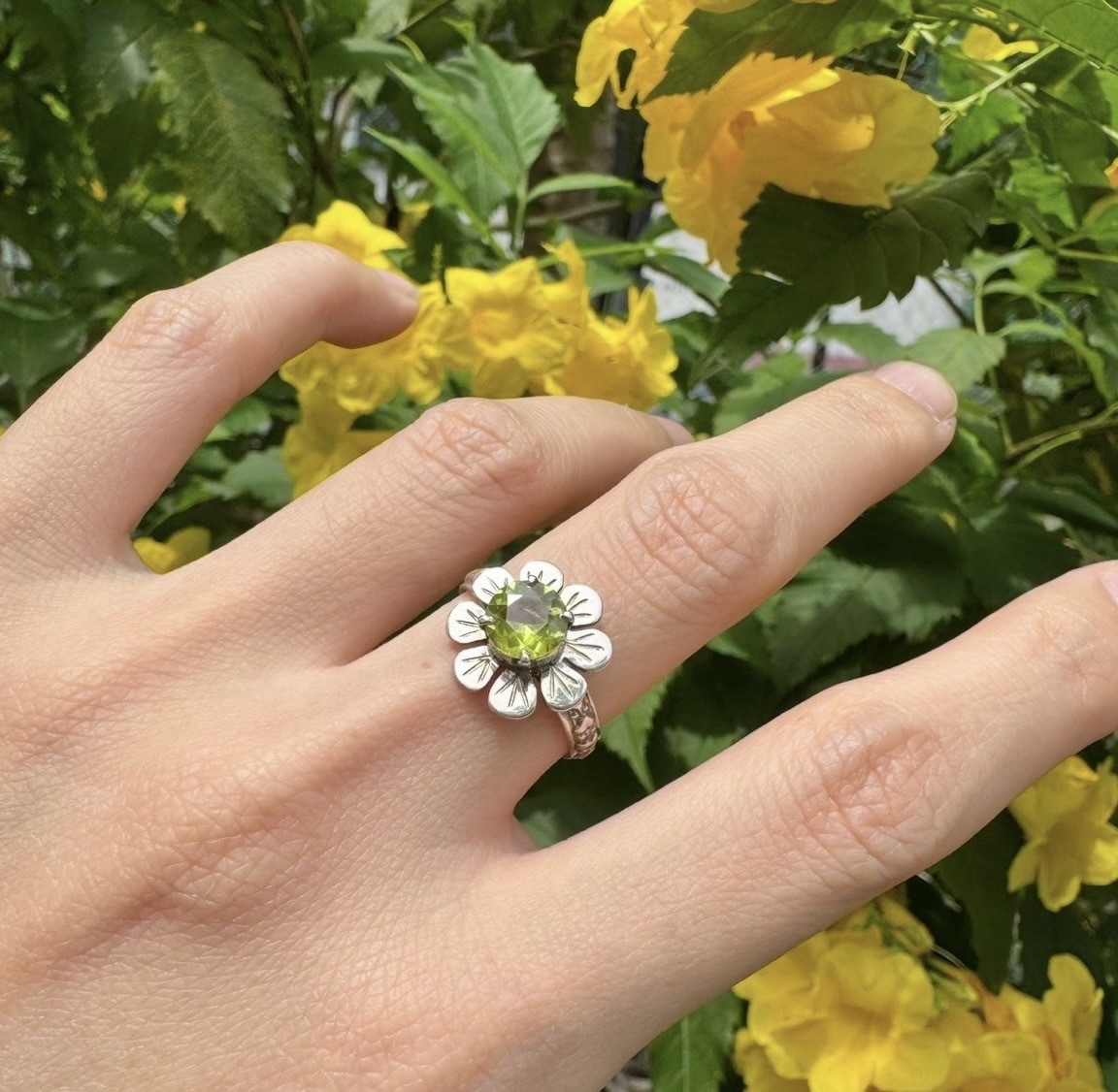 image_561EB5FB-C658-49B4-B0C1-56217FABFDC2_1771745234