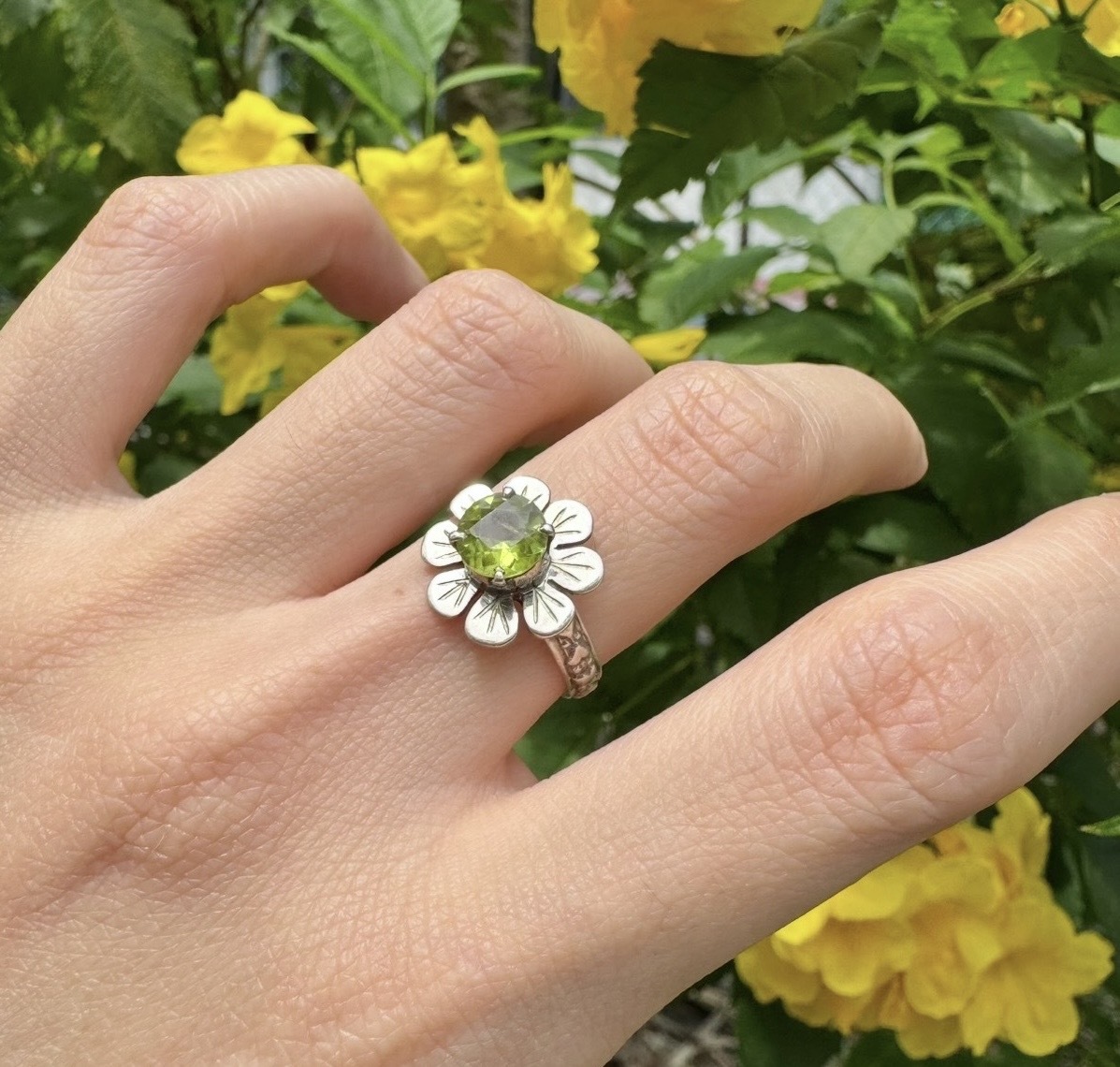 image_5510D9CD-F207-449F-B801-178C010D4F5E_1771745234