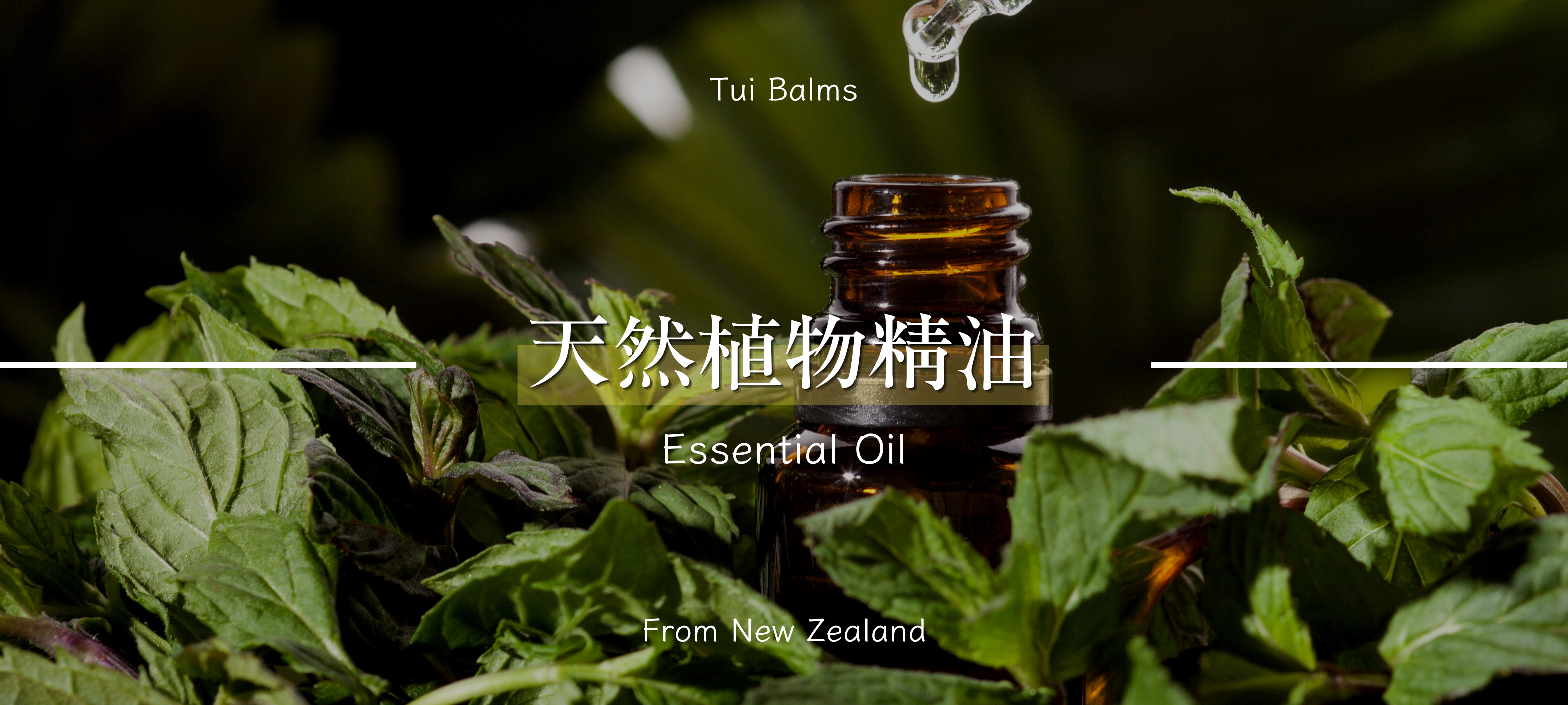  | Tuibalms