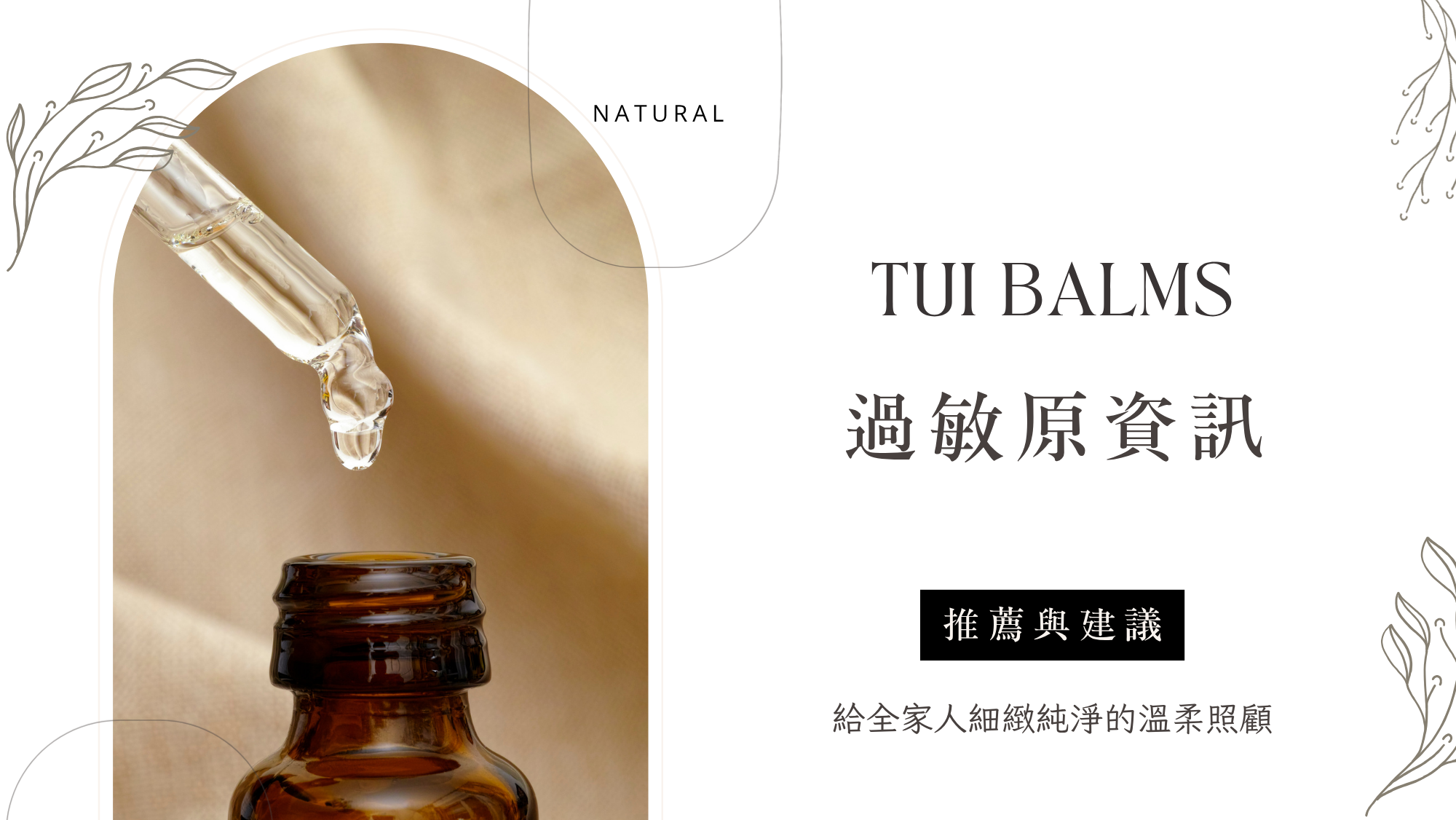 Tui官網 - 2026-06-24T160827.603