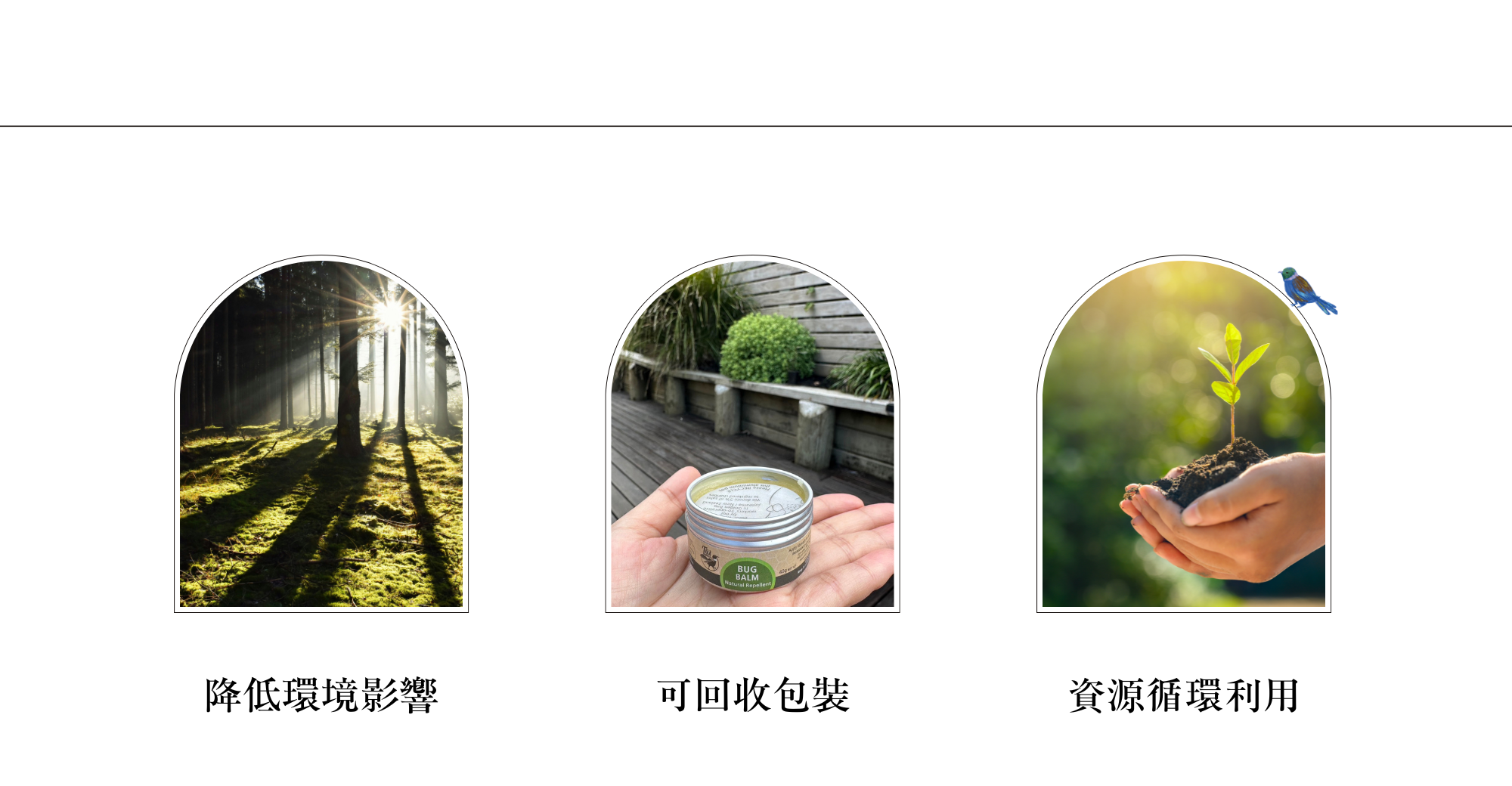 未命名設計 - 2026-06-24T172031.005
