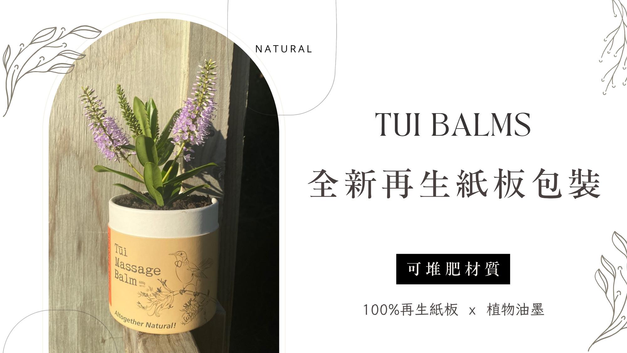 Tui官網 - 2026-06-24T165714.142