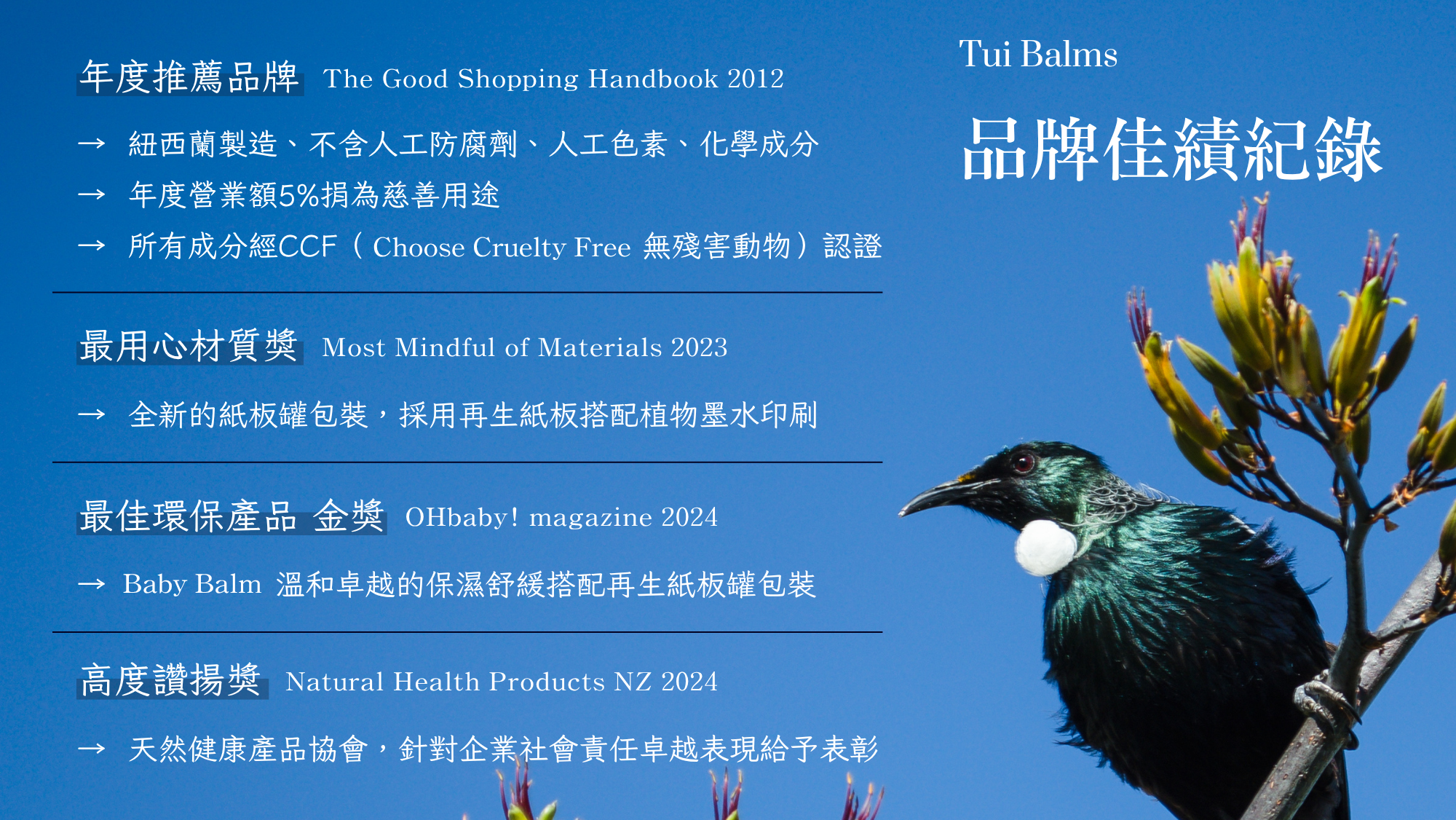 Tui官網 - 2026-06-24T172921.842