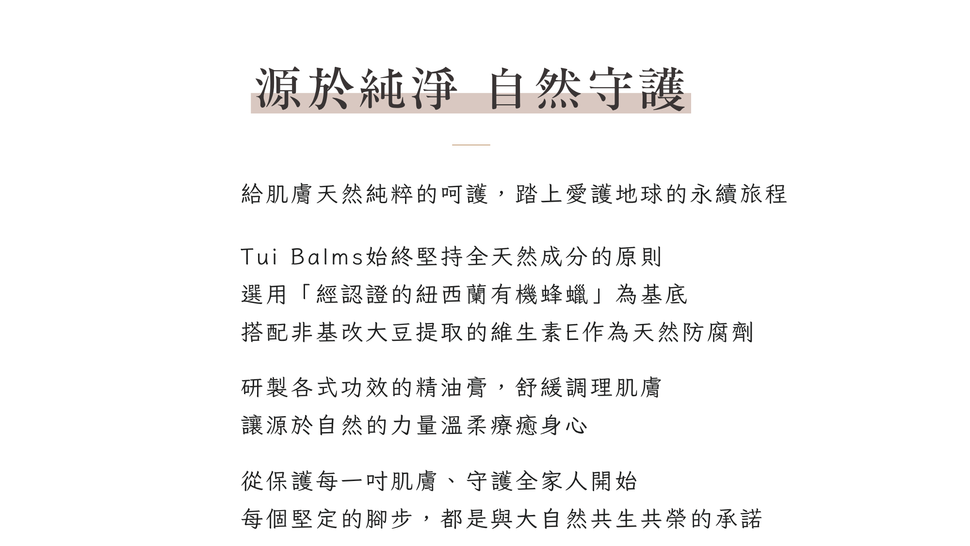 Tui官網 - 2026-06-25T175051.464