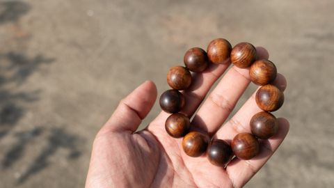 02 (1 - 1)