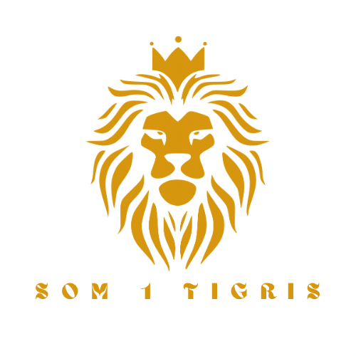 SOM1 by Tigris🐯