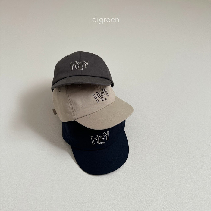 52_202501251224A