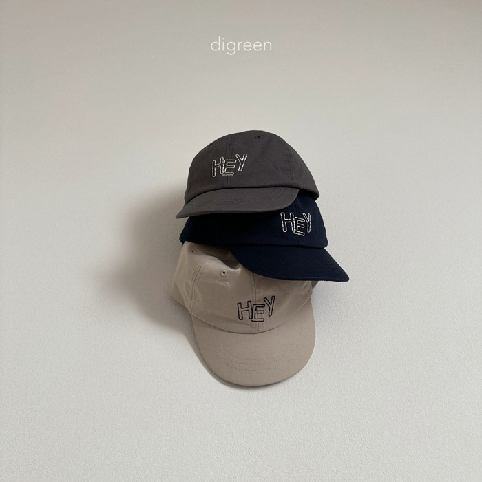 52_202501251224B