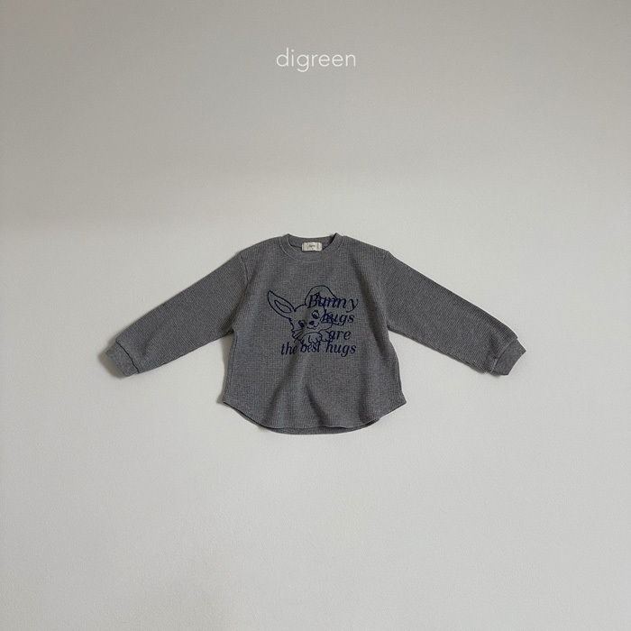 15_202501251349E