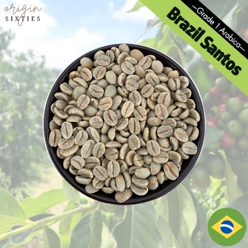Brazil Santos Unroasted Coffee Bean