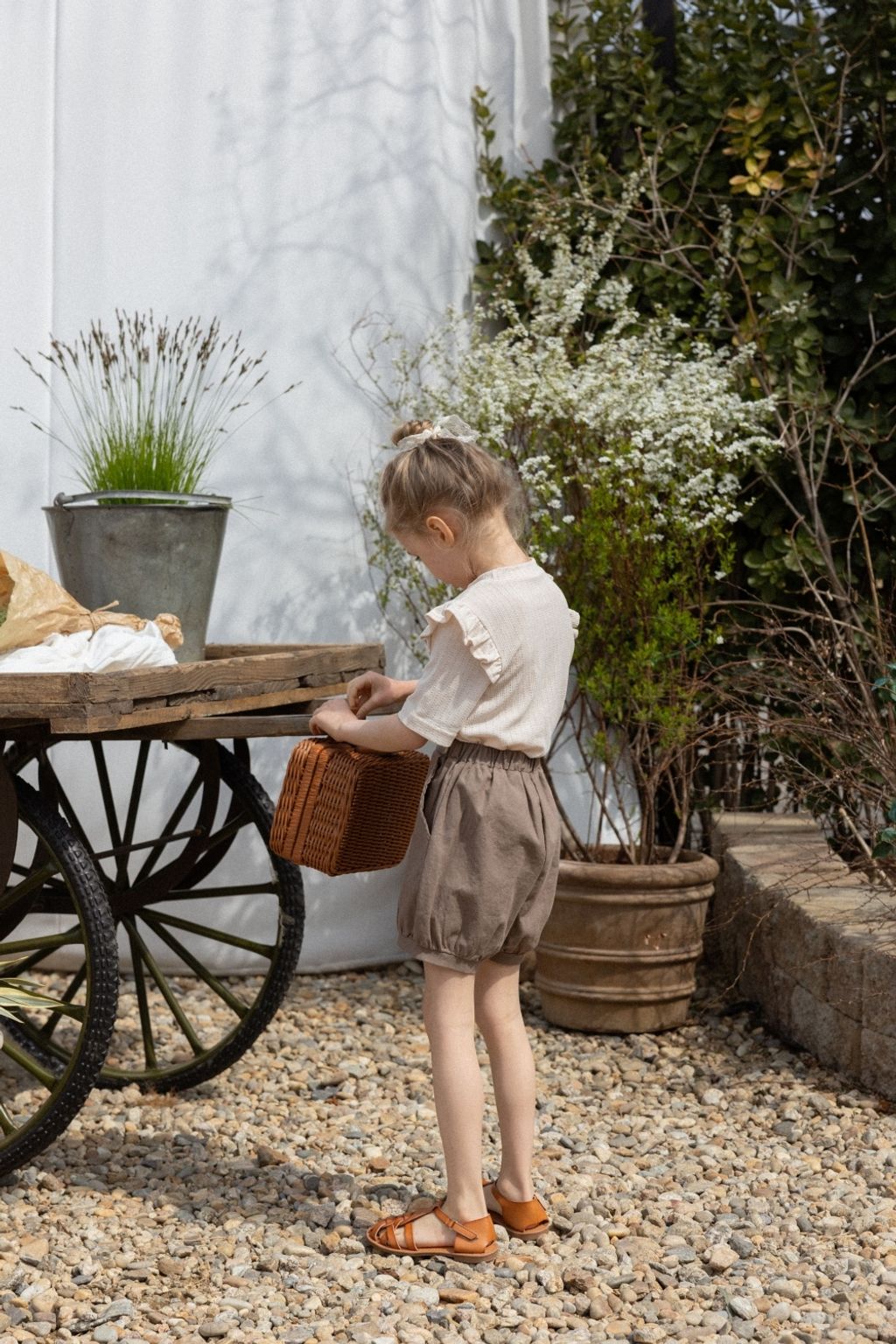 1774923686_2095681540