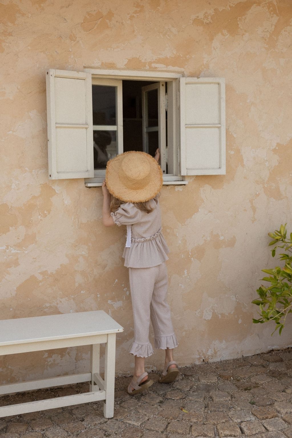 1774923516_8805805357