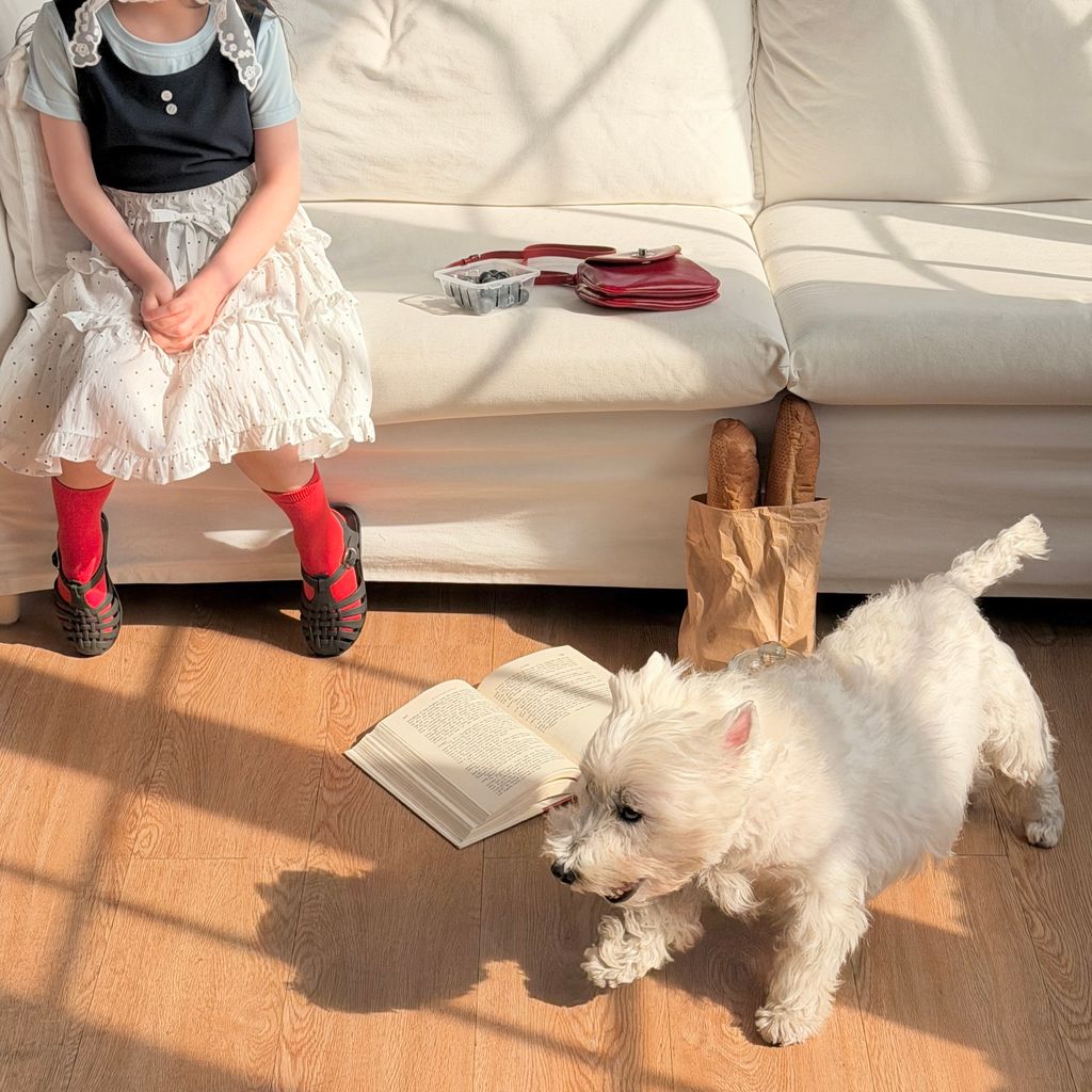 KakaoTalk_20260328_032007343_20