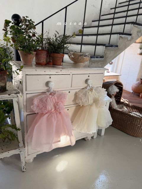 1775741685_3589840645