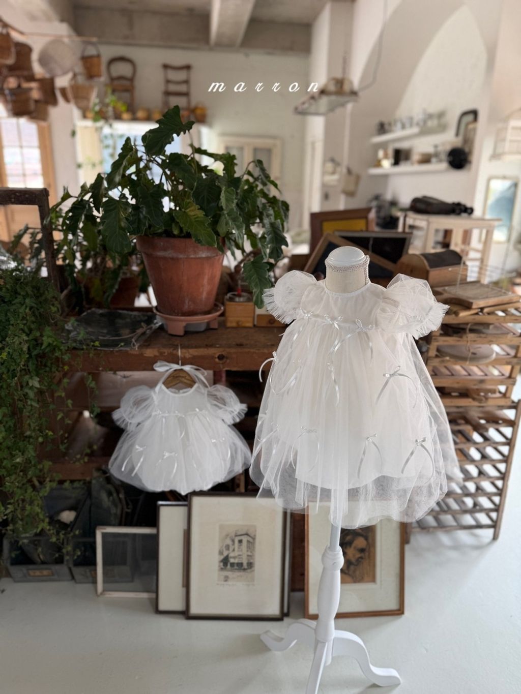 1775741565_5835579407