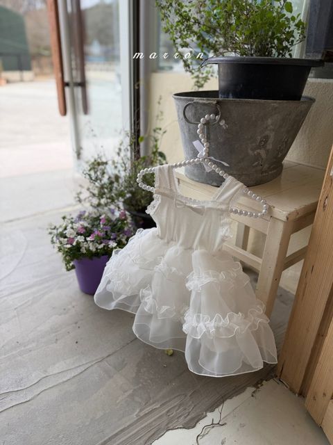 1775741806_7118973555