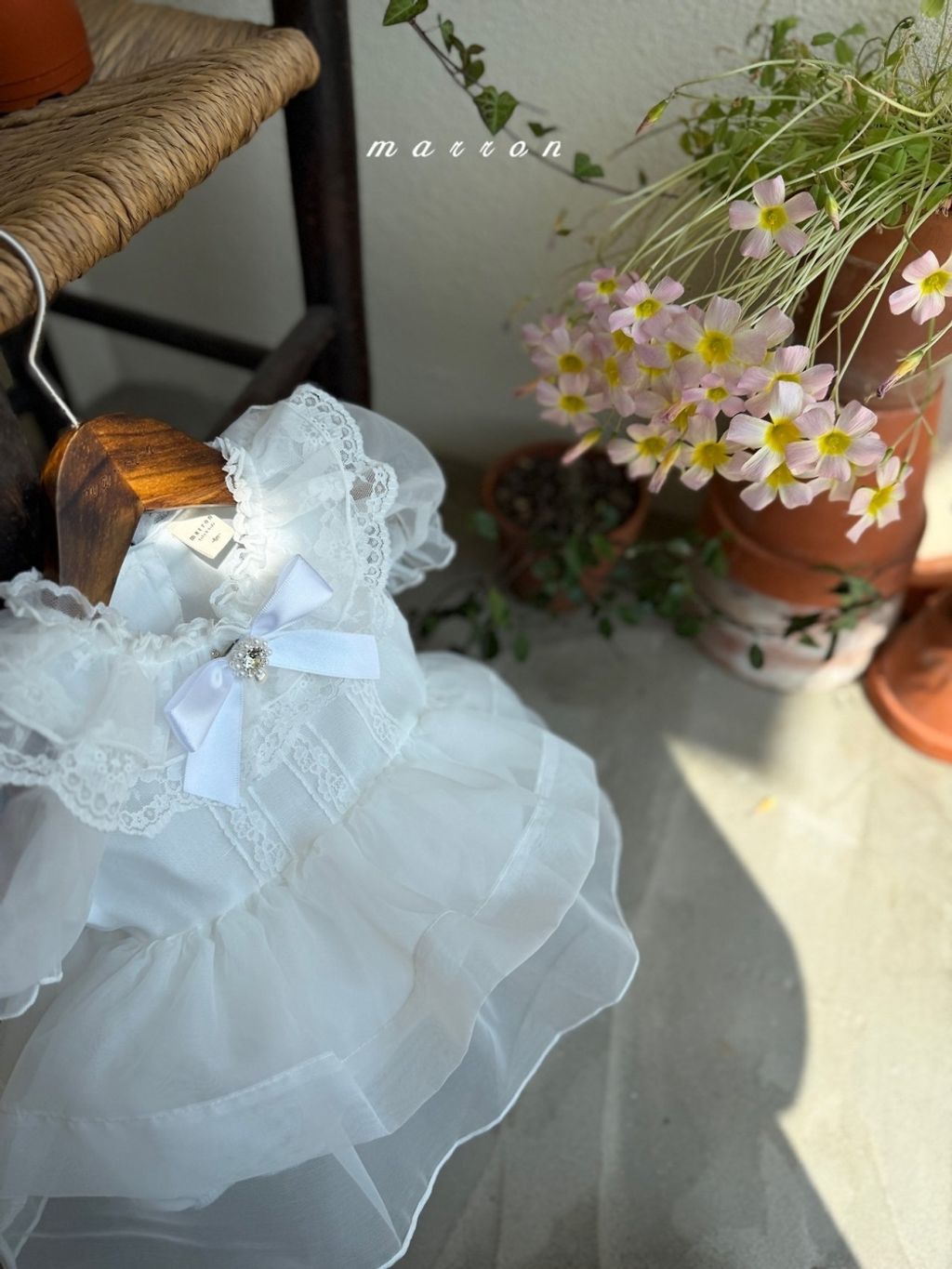 1775731938_7024805582